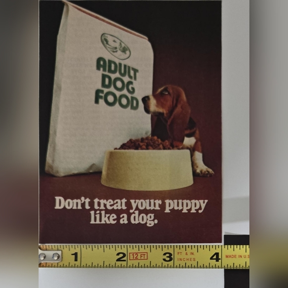 1980 Purina Puppy Chow Dog Food Ad - Don't Treat Your Puppy Like A Dog - Picture 2 of 8